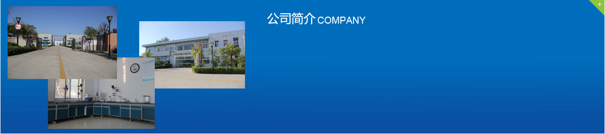 公司介紹